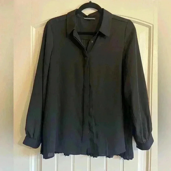 Adrianna Papell Tops - Adrianna Papell Black light Blouse accordion style back long sleeve Medium